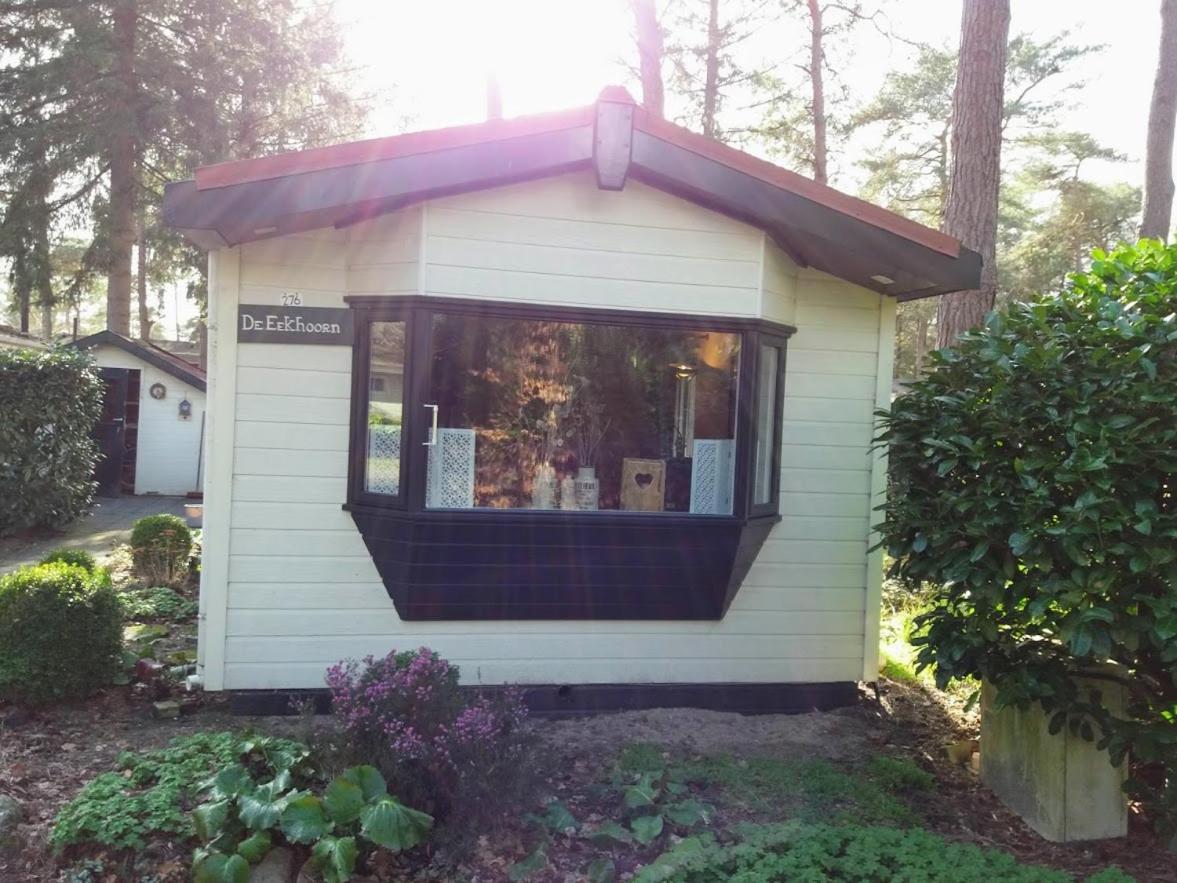 Chalet De Eekhoorn Diever Exterior foto